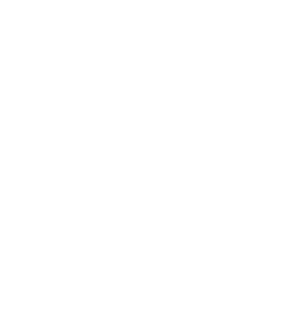 North Cadbury Court Logo White
